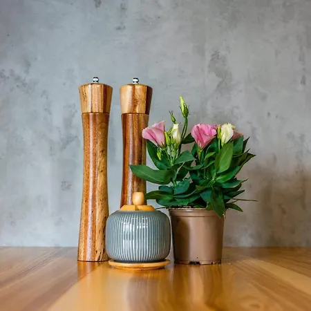 Why Not Widokowy Czar Appartamento Zakopane