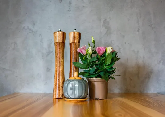 Why Not Widokowy Czar شقة زاكوباني